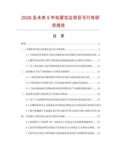 2026及未來5年松緊花邊項目可行性研究報告