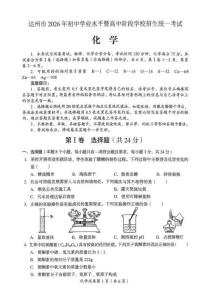 2026年四川省达州市中考化学试卷真题打印版