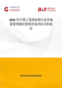 2025年中國工用清洗劑行業市場前景預測及投資價值評估分析報告