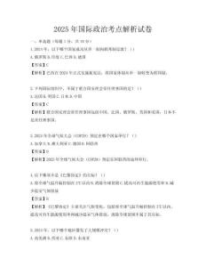 2025年國際政治考點解析試卷