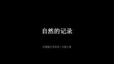沪教版（2024）小学美术二年级上册《自然的记录》教学课件