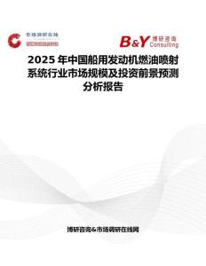 2025年中国船用发动机燃油喷射系统行业市场规模及投资前景预测分析报告