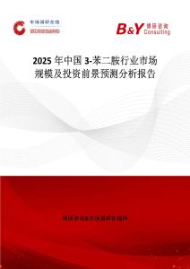 2025年中国3-苯二胺行业市场规模及投资前景预测分析报告