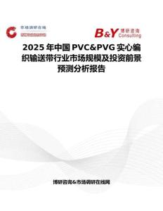 2025年中國PVC&PVG實心編織輸送帶行業市場規模及投資前景預測分析報告