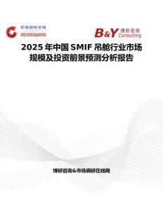 2025年中国SMIF吊舱行业市场规模及投资前景预测分析报告