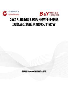 2025年中國USB滑環行業市場規模及投資前景預測分析報告