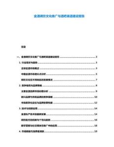 金酒調飲文化推廣與酒吧渠道建設報告
