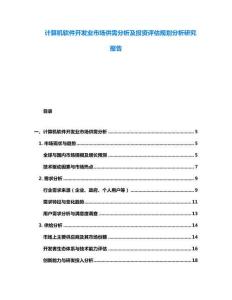 計算機軟件開發(fā)業(yè)市場供需分析及投資評估規(guī)劃分析研究報告