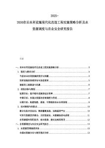 2025-2030農田水利設施現代化改造工程實施策略分析及水資源調度與農業安全研究報告