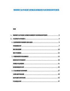 物聯(lián)網(wǎng)行業(yè)市場潛力挖掘及發(fā)展趨勢與投資規(guī)劃研究報告
