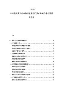 2025-2030航空貨運行業物流效率分析及產業鏈合作布局研究分析