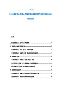 2025-2030捷克工業機器人應用場景供需剖析及汽車行業智能制造規劃報告