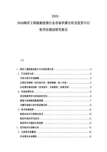 2025-2030海洋工程船舶改裝行業市場供需分析及投資可行性評估規劃研究報告