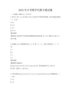 2025年中考數學代數專題試題