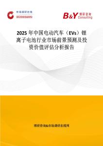 2025年中國電動汽車（EVs）鋰離子電池行業市場前景預測及投資價值評估分析報告