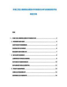 环境工程土壤修复治理技术市场现状分析与发展投险评估规划方案