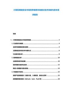 計算機網絡安全市場競爭格局市場細分技術突破與資本需求報告