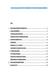物流倉(cāng)儲(chǔ)業(yè)運(yùn)營(yíng)效率市場(chǎng)規(guī)模分析投資評(píng)估規(guī)劃發(fā)展報(bào)告