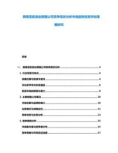 西南亚旅游业跨国公司竞争现状分析市场趋势投资评估策略研究