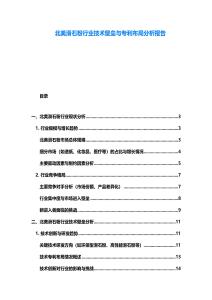 北美滑石粉行業(yè)技術(shù)壁壘與專利布局分析報告