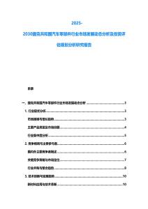 2025-2030捷克共和國汽車零部件行業市場發展動態分析及投資評估規劃分析研究報告