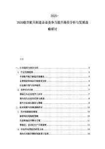 2025-2030航空航天制造企業(yè)競爭力提升路徑分析與發(fā)展戰(zhàn)略研討