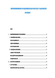 俄羅斯黑蜂蜜原料市場發(fā)展現(xiàn)狀技術(shù)研究及產(chǎn)業(yè)延伸投資評(píng)估報(bào)告