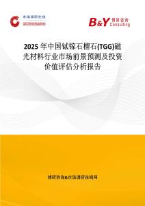 2025年中国铽镓石榴石(TGG)磁光材料行业市场前景预测及投资价值评估分析报告