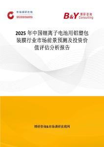 2025年中國鋰離子電池用鋁塑包裝膜行業市場前景預測及投資價值評估分析報告