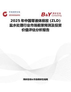 2025年中國零液體排放 (ZLD) 鹽水處理行業市場前景預測及投資價值評估分析報告