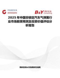 2025年中國非鎖定汽車氣彈簧行業市場前景預測及投資價值評估分析報告