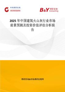 2025年中國建筑火山灰行業市場前景預測及投資價值評估分析報告