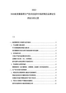 2025-2030南美葡萄酒生产技术改进和市场营销及品牌定位评估分析记要