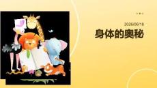 幼儿园：身体的奥秘