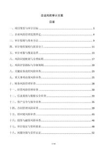 企业风险审计方案