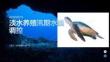 淡水養殖汛期水質調控課件 PPT