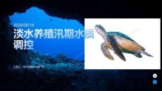淡水養(yǎng)殖汛期水質(zhì)調(diào)控課件 PPT