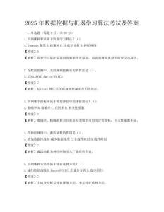 2025年數(shù)據(jù)挖掘與機器學(xué)習(xí)算法考試及答案