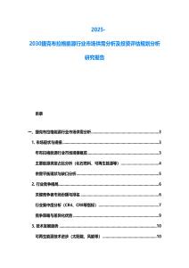 2025-2030捷克布拉格能源行业市场供需分析及投资评估规划分析研究报告
