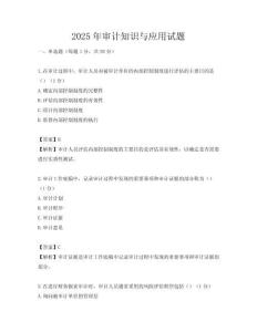 2025年审计知识与应用试题