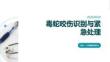 毒蛇咬伤识别与紧急处理