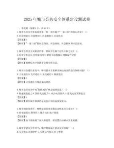 2025年城市公共安全體系建設測試卷