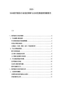 2025-2030软件服务行业现状调研与未来发展趋势预测报告