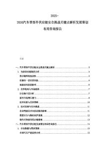 2025-2030汽车零部件供应链安全挑战关键点解析发展筹划布局咨询报告