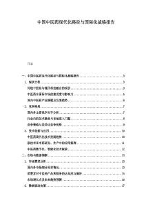 中国中医药现代化路径与国际化战略报告