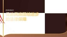 促进民族团结进步的法律保障