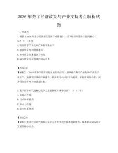 2026年數字經濟政策與產業支持考點解析試題
