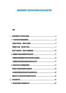 超高清視頻產(chǎn)業(yè)標(biāo)準(zhǔn)體系建設(shè)與商業(yè)變現(xiàn)評估