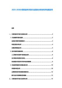 2025-2030计算机软件开发行业现状分析研究评估规划书