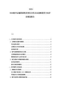 2025-2030航空运输联盟格局变化分析企业战略投资方向评估规划报告
